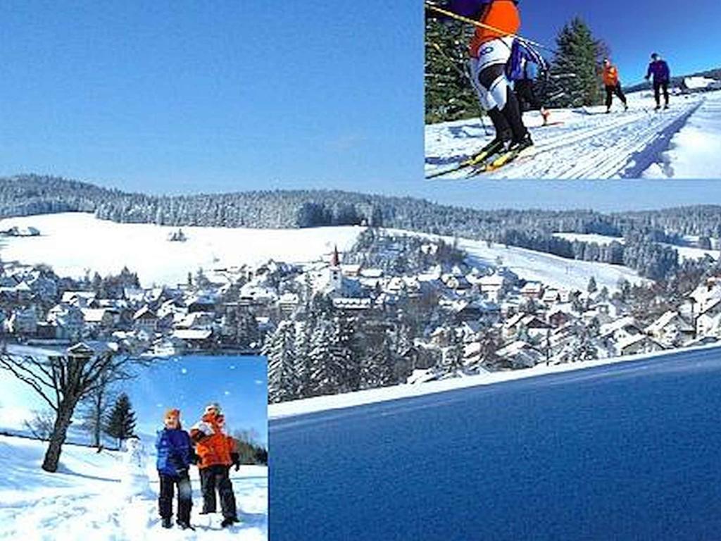 Appartmentvermietung Terrassenpark Schonach Schonach im Schwarzwald Extérieur photo
